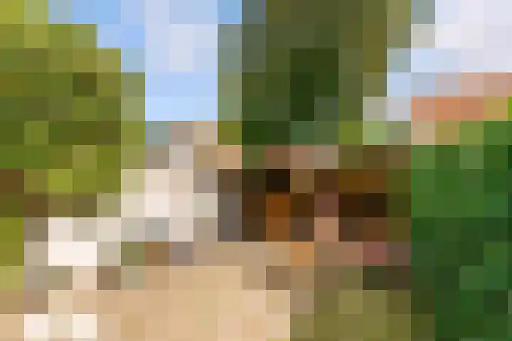 B. van Rooijenstraat 74 Naarden thumbnail 47