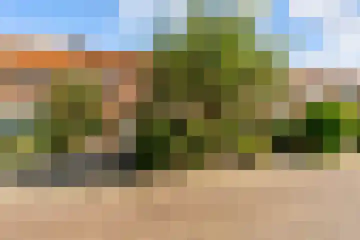 B. van Rooijenstraat 74 Naarden thumbnail 5