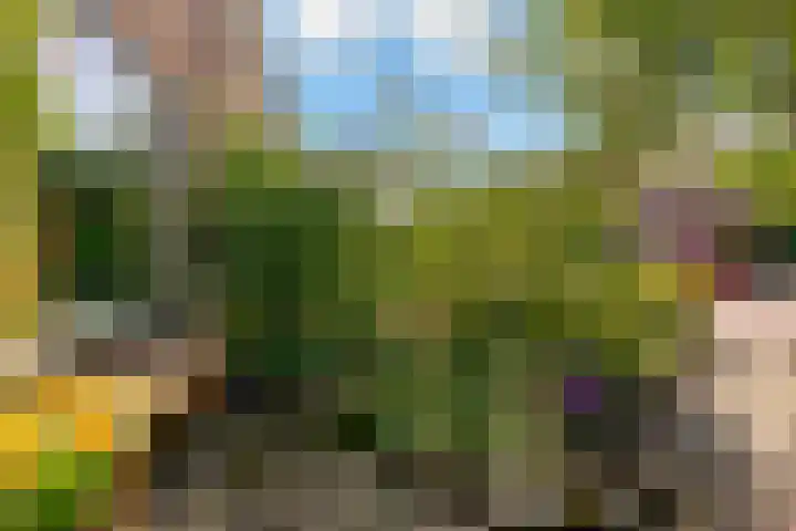 B. van Rooijenstraat 74 Naarden thumbnail 53