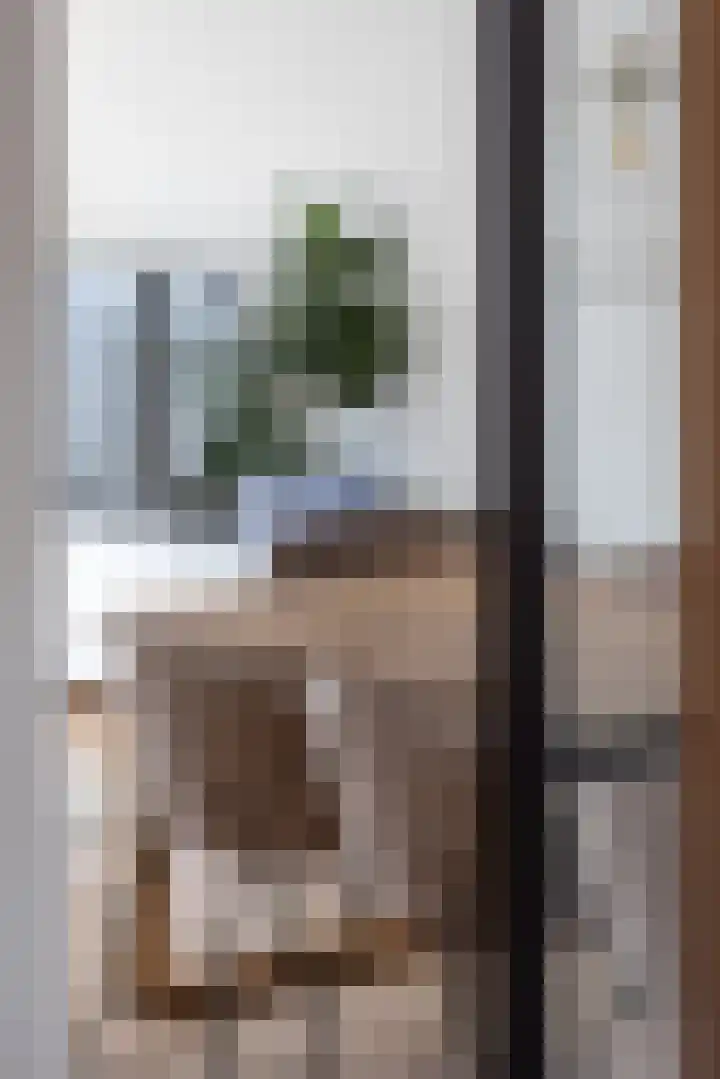 B. Vethstraat 9 Bergschenhoek thumbnail 11