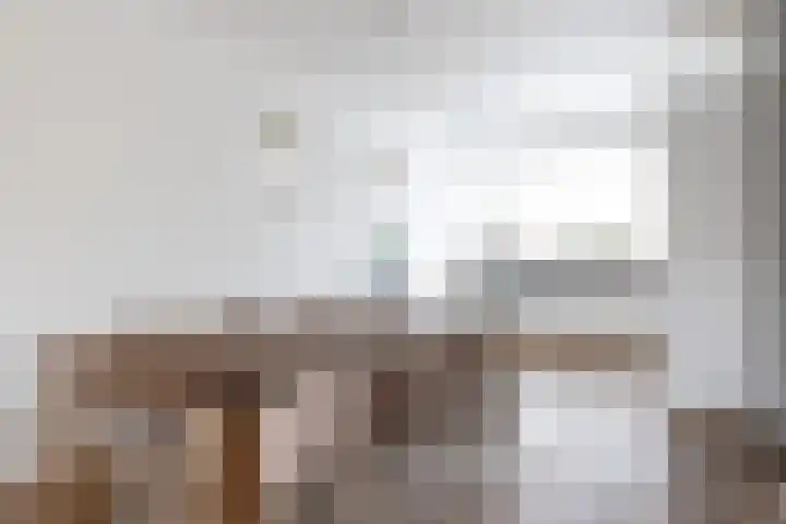 B. Vethstraat 9 Bergschenhoek thumbnail 12