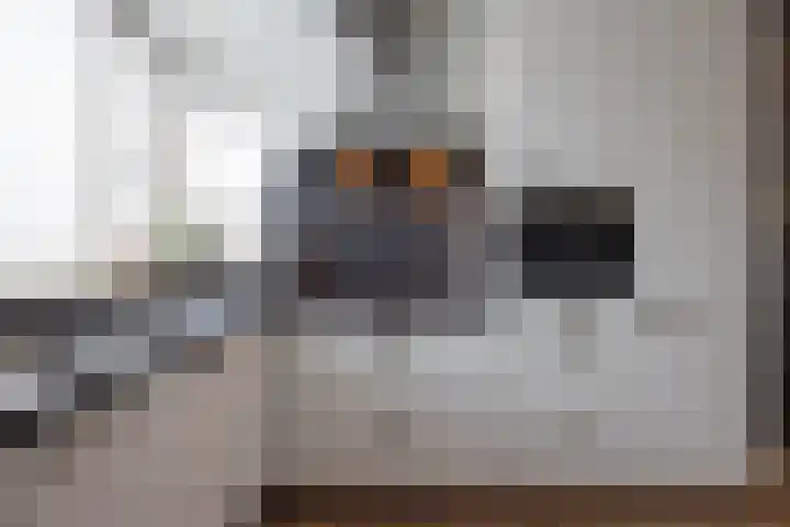 B. Vethstraat 9 Bergschenhoek thumbnail 15