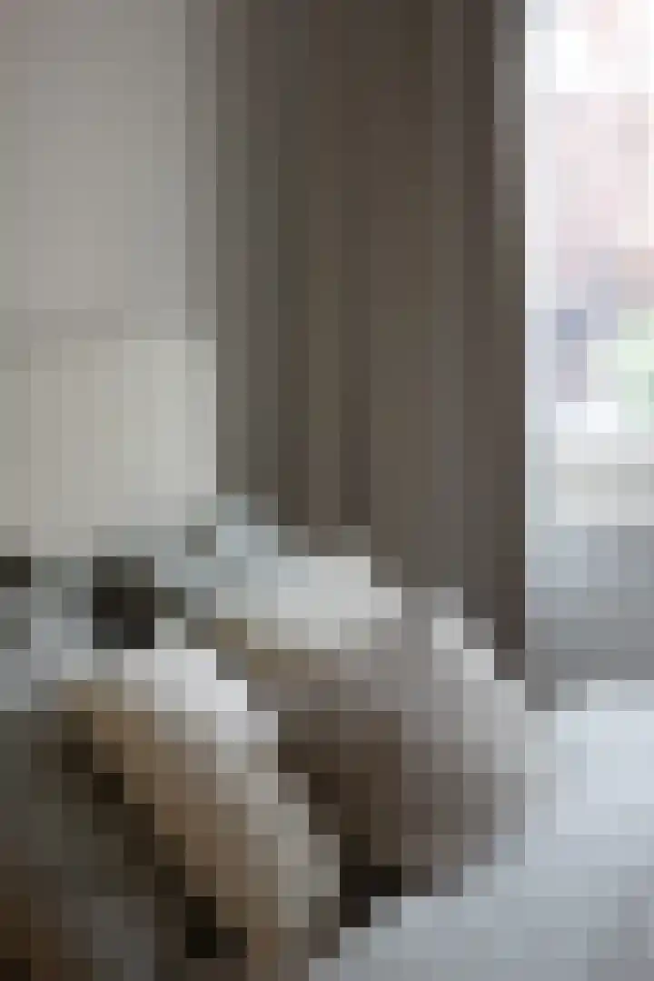 B. Vethstraat 9 Bergschenhoek thumbnail 17