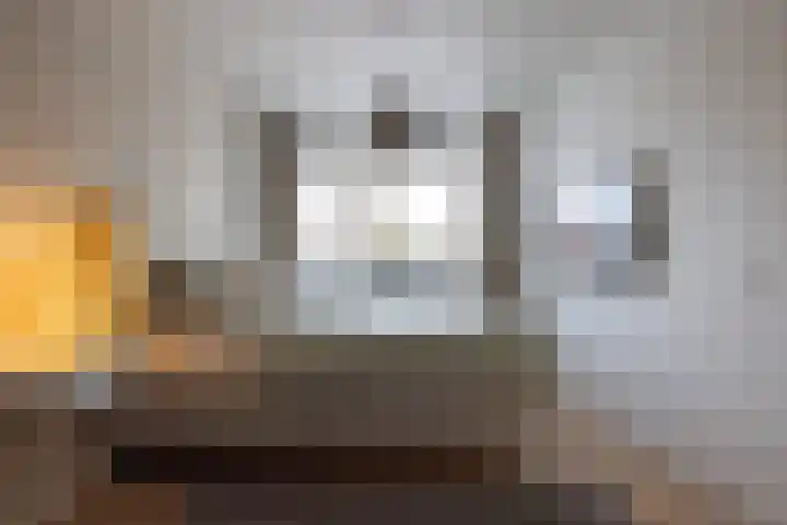 B. Vethstraat 9 Bergschenhoek thumbnail 18