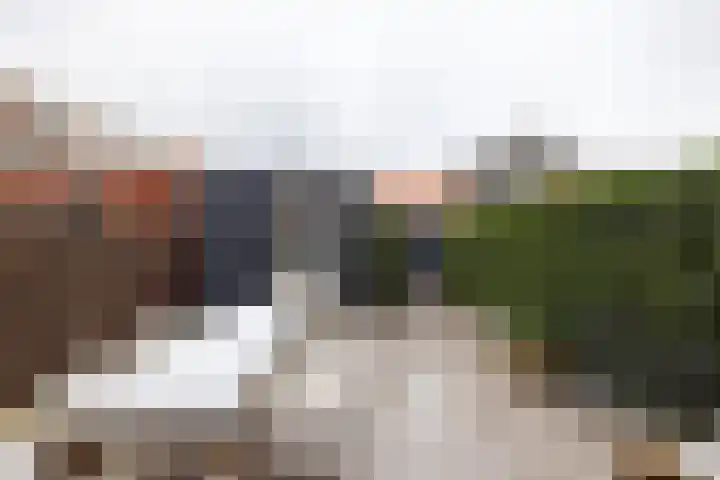 B. Vethstraat 9 Bergschenhoek thumbnail 31