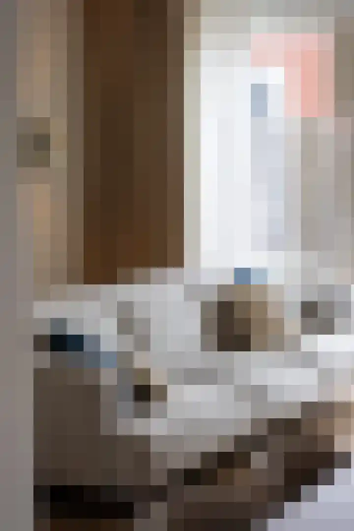 B. Vethstraat 9 Bergschenhoek thumbnail 6