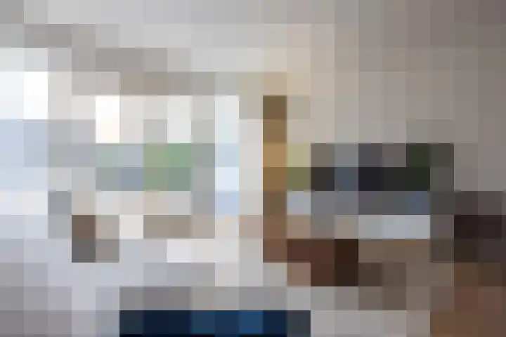 B. Vethstraat 9 Bergschenhoek thumbnail 7