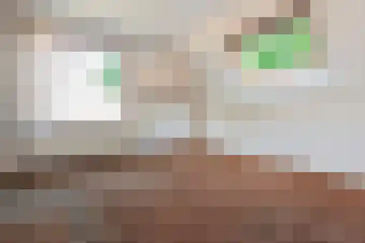 Baafjeslaan 13 Heiloo thumbnail 12