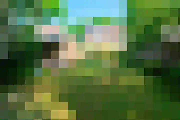Baafjeslaan 13 Heiloo thumbnail 25