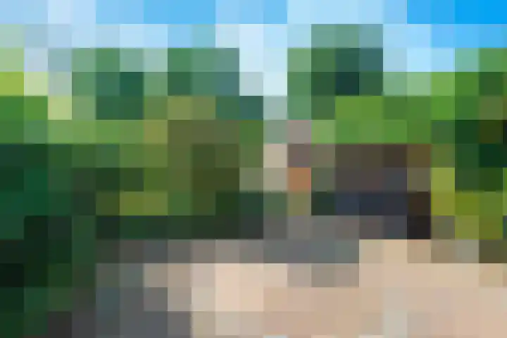 Baafjeslaan 13 Heiloo thumbnail 28