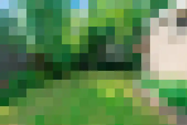 Baafjeslaan 13 Heiloo thumbnail 29