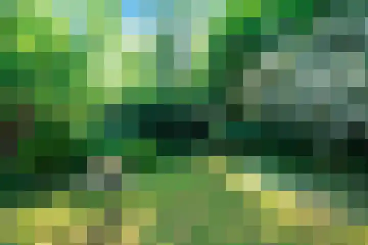 Baafjeslaan 13 Heiloo thumbnail 30