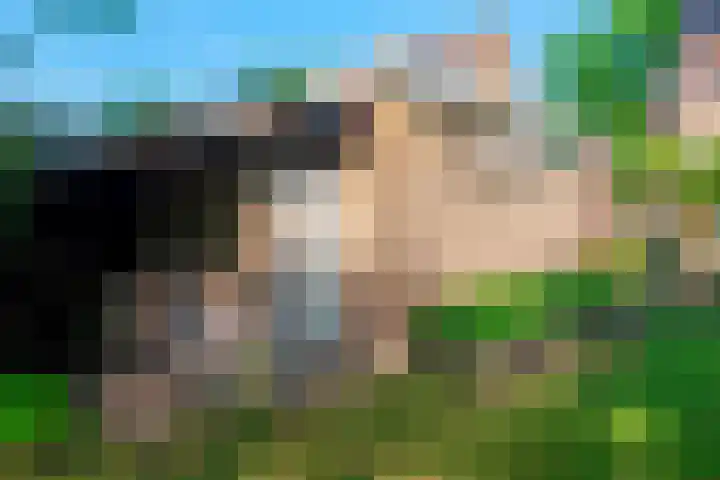 Baafjeslaan 13 Heiloo thumbnail 31