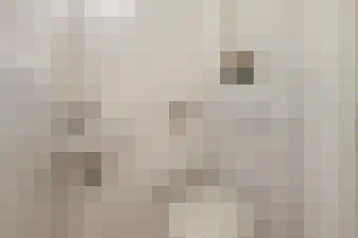 Baafjeslaan 23 Heiloo thumbnail 12