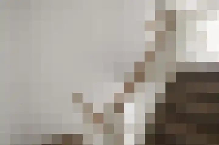 Baafjeslaan 23 Heiloo thumbnail 14