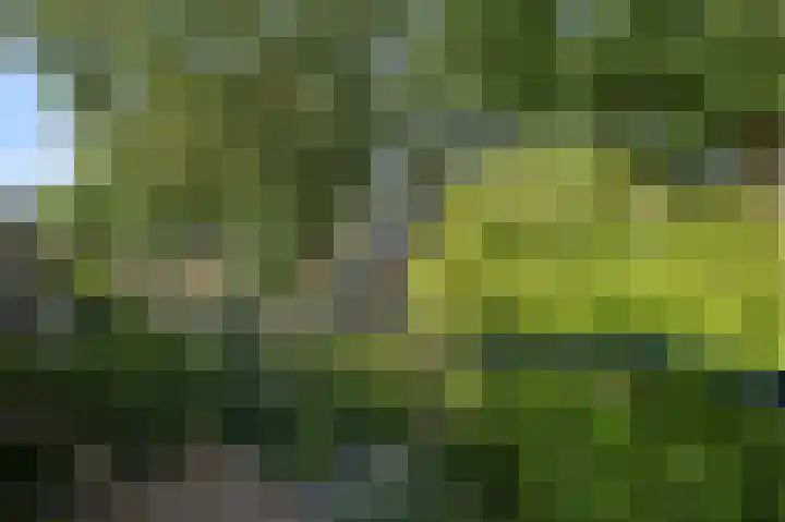 Baafjeslaan 23 Heiloo thumbnail 18
