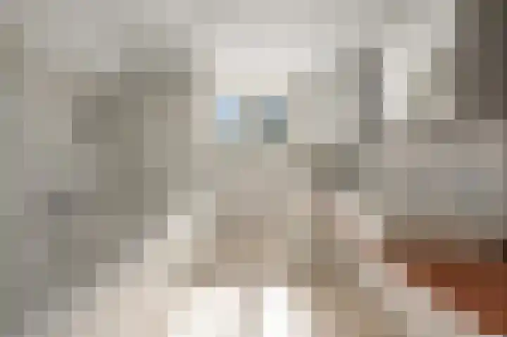 Baafjeslaan 23 Heiloo thumbnail 21