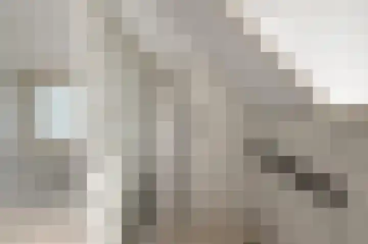 Baafjeslaan 23 Heiloo thumbnail 23