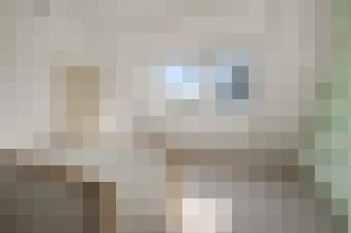 Baafjeslaan 23 Heiloo thumbnail 26