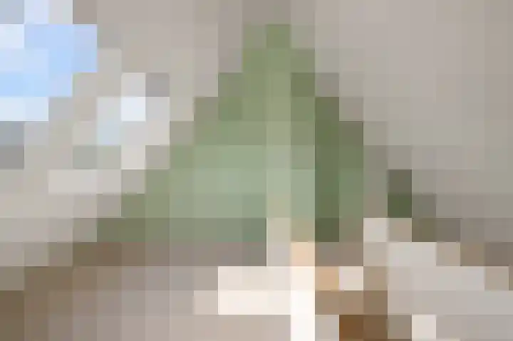 Baafjeslaan 23 Heiloo thumbnail 27