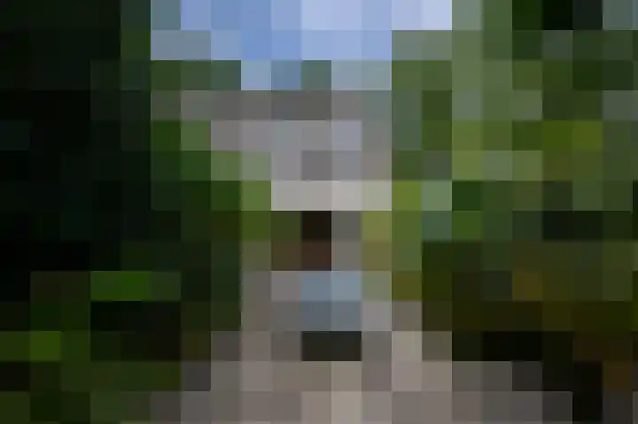 Baafjeslaan 23 Heiloo thumbnail 29
