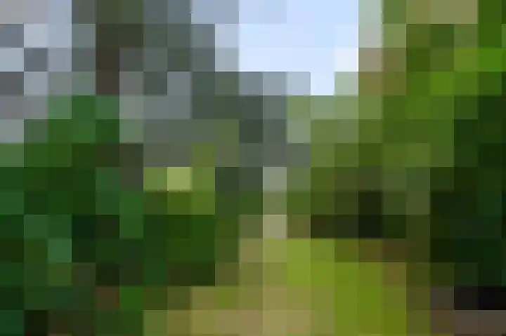 Baafjeslaan 23 Heiloo thumbnail 30