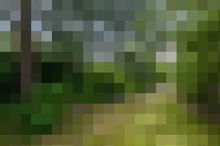 Baafjeslaan 23 Heiloo thumbnail 31