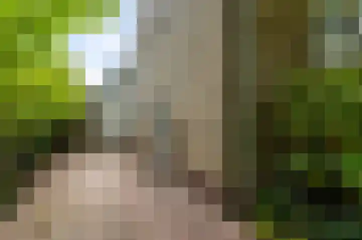Baafjeslaan 23 Heiloo thumbnail 33