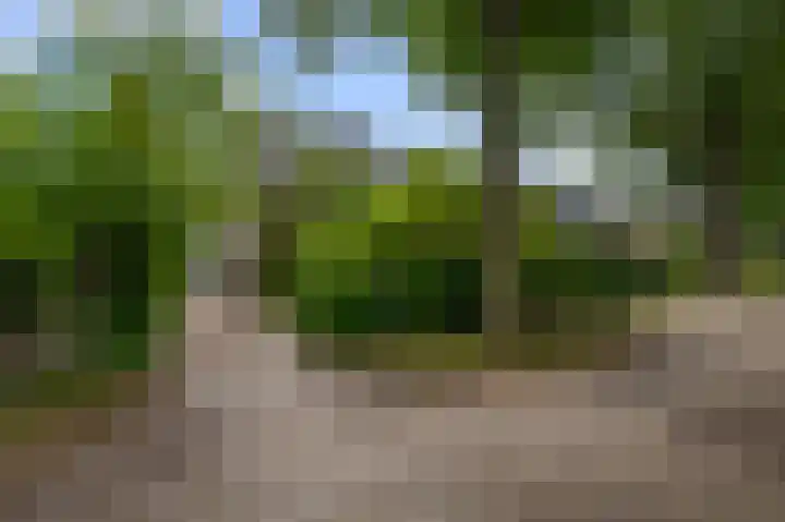 Baafjeslaan 23 Heiloo thumbnail 34