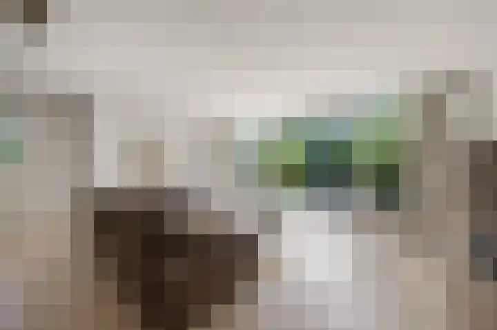 Baafjeslaan 23 Heiloo thumbnail 6