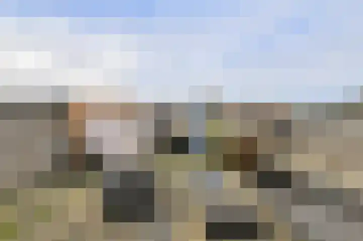 Baai 108 Etten-Leur thumbnail 35