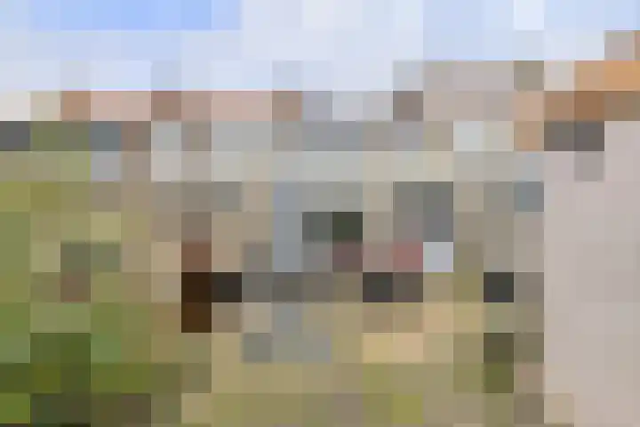 Baai 108 Etten-Leur thumbnail 38