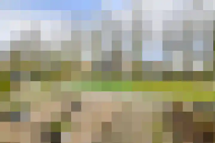 Baai 108 Etten-Leur thumbnail 40