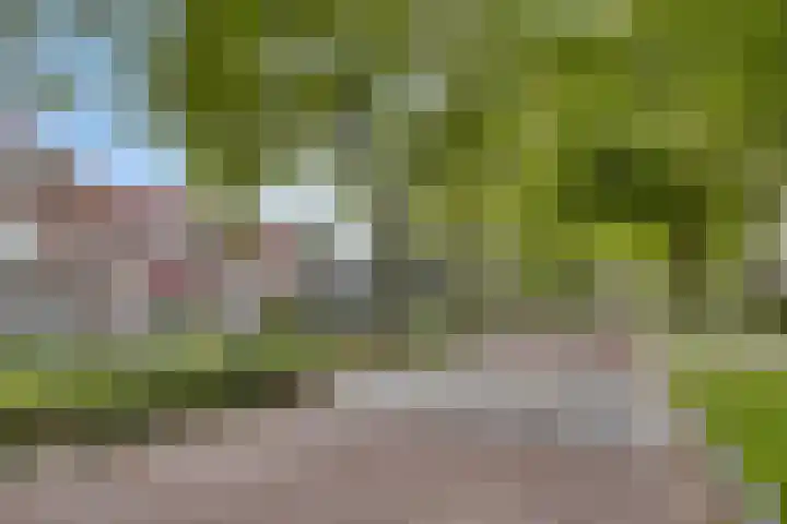 Baai 110 Etten-Leur thumbnail 32
