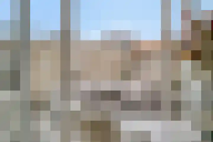 Baai 110 Etten-Leur thumbnail 5