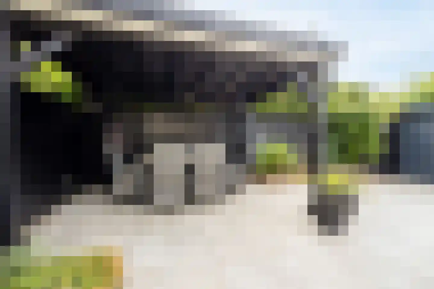 Baai 21 Etten-Leur thumbnail 42