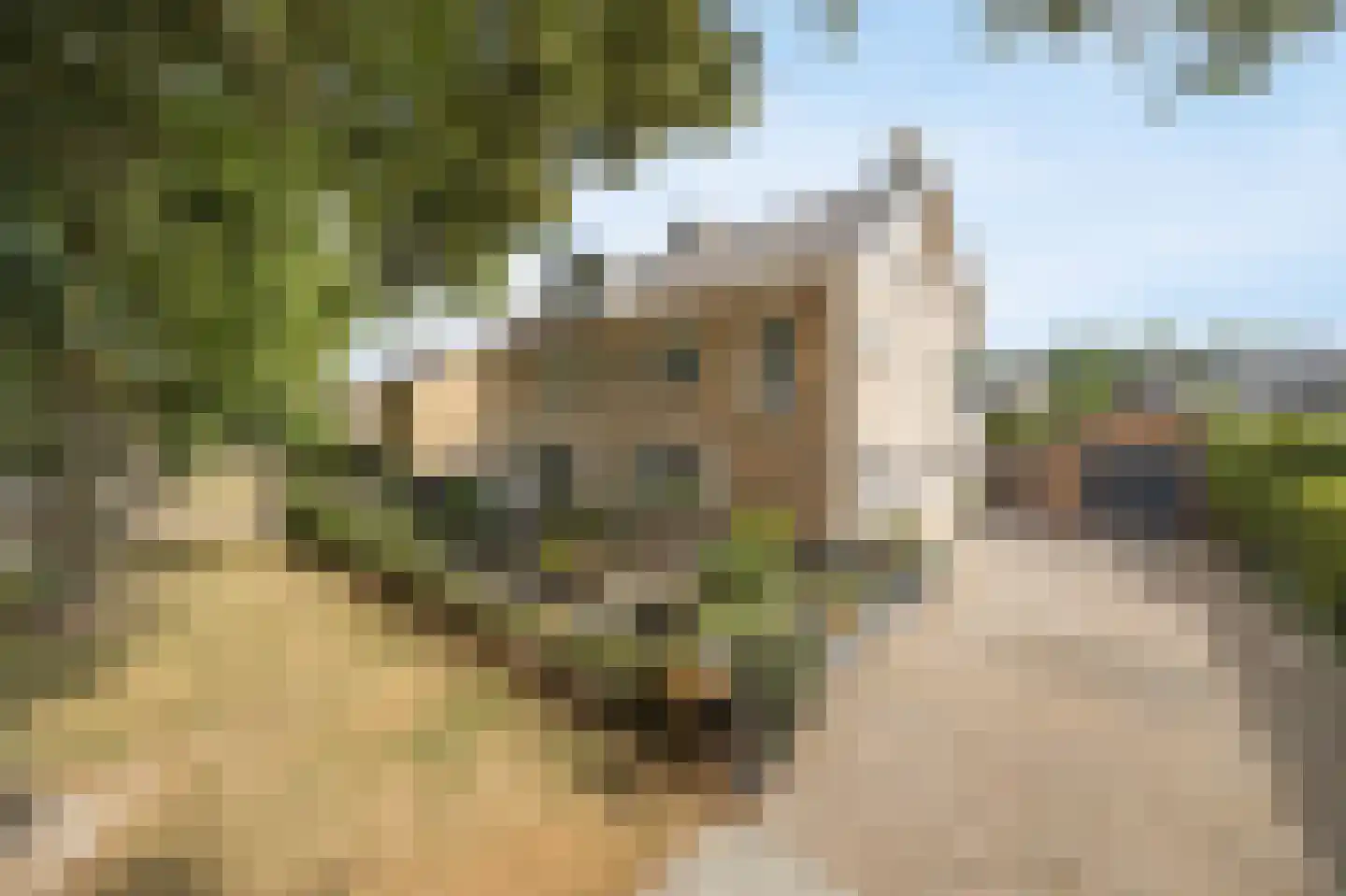 Baai 21 Etten-Leur thumbnail 46