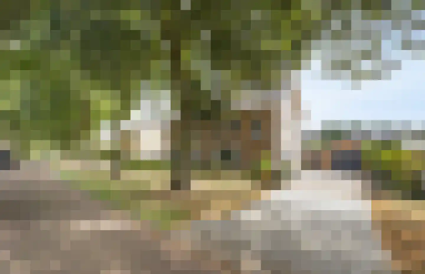 Baai 21 Etten-Leur thumbnail 48