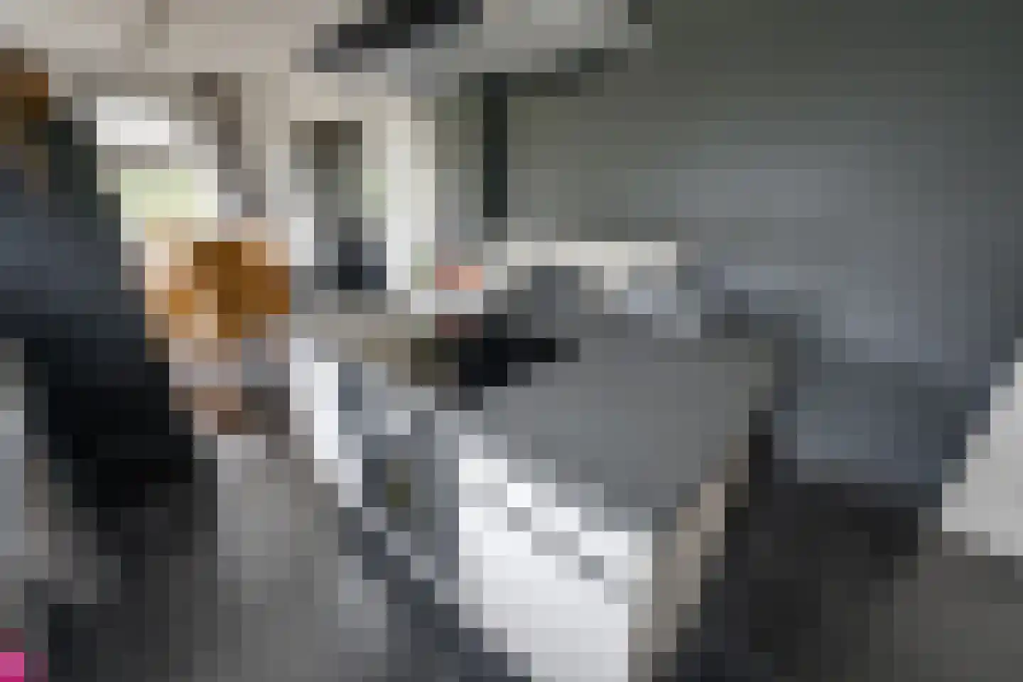 Baai 23 Etten-Leur thumbnail 20
