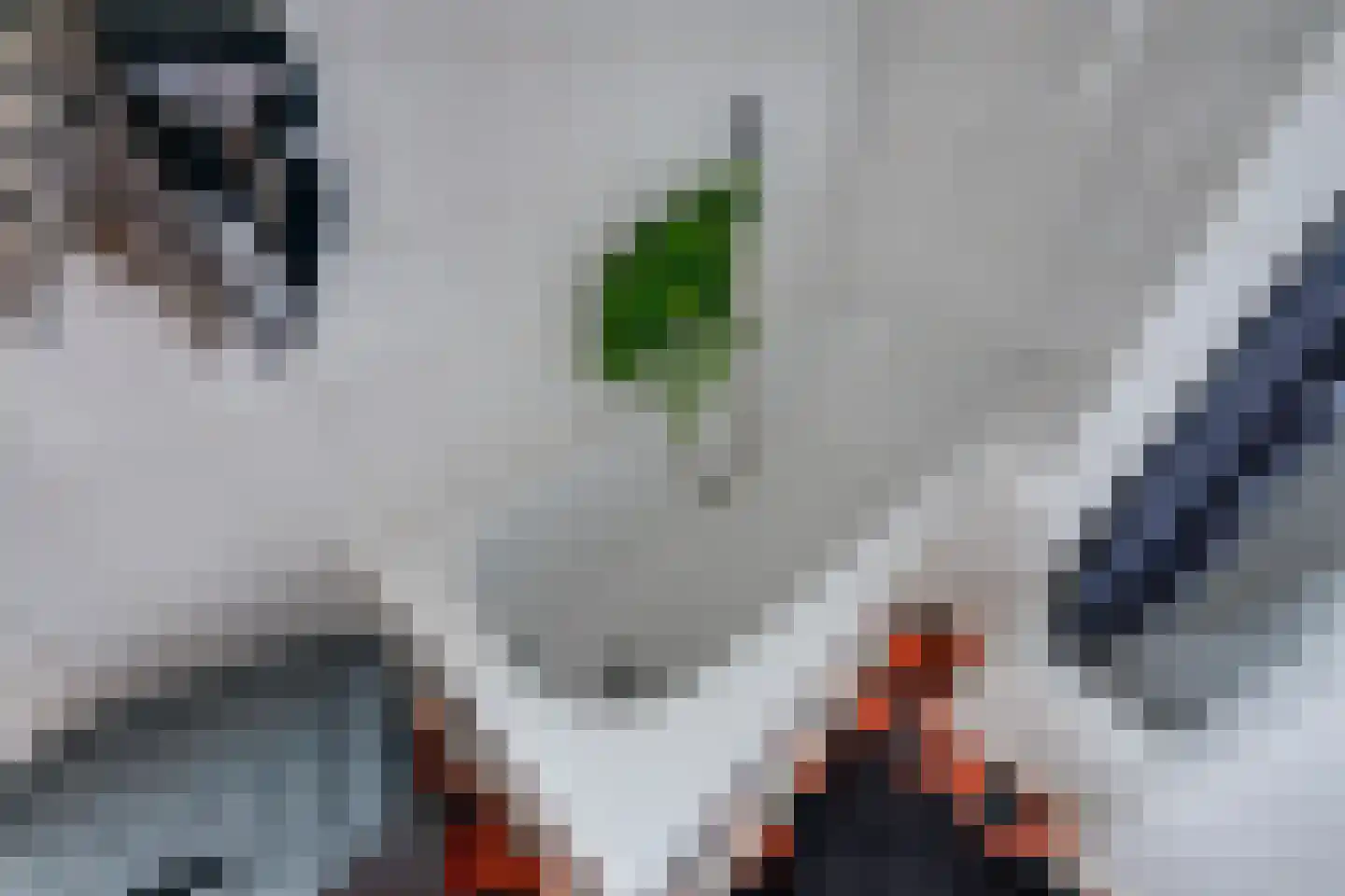 Baai 23 Etten-Leur thumbnail 35
