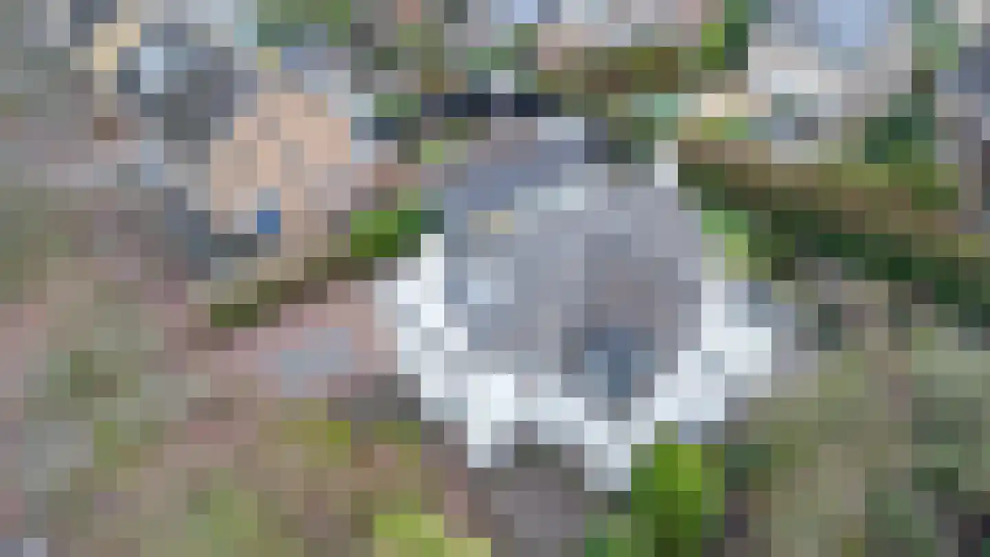 Baai 23 Etten-Leur thumbnail 4