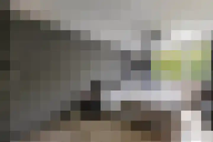 Baai 64 Lelystad thumbnail 25