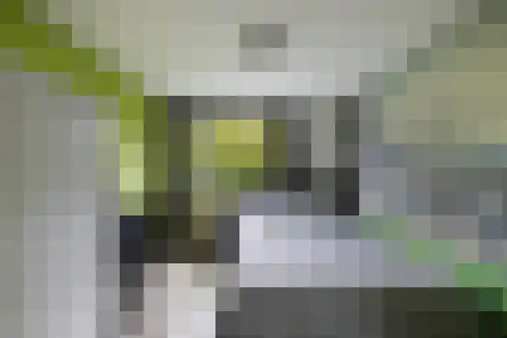 Baai 64 Lelystad thumbnail 26
