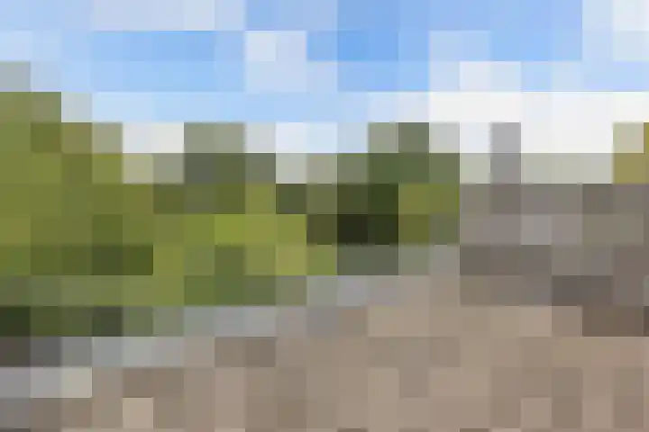 Baai 64 Lelystad thumbnail 36