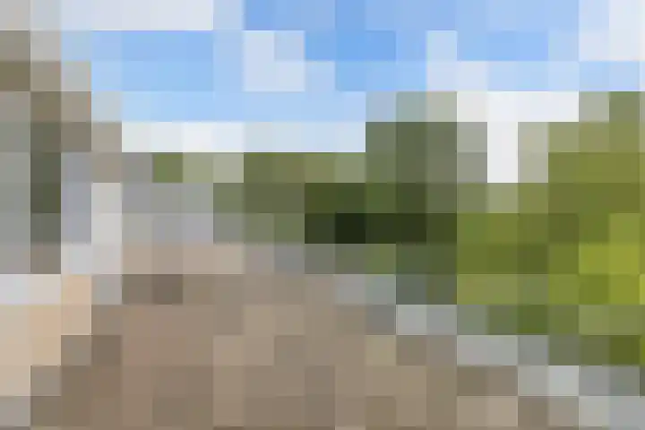 Baai 64 Lelystad thumbnail 37