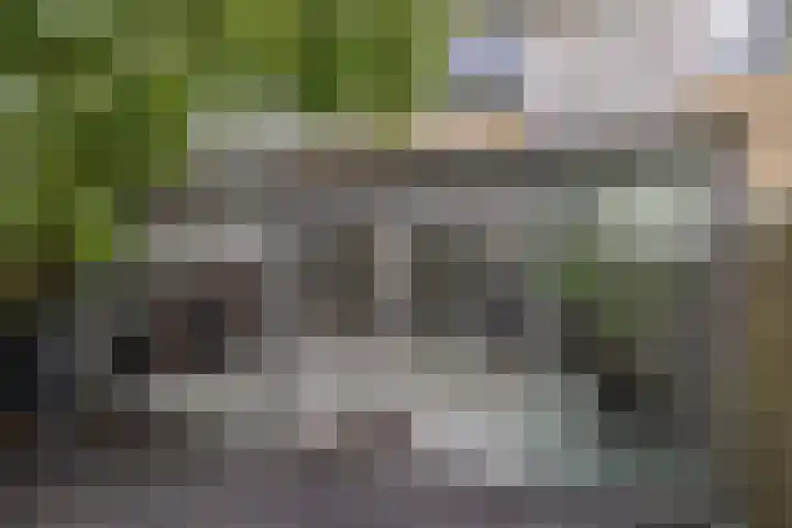 Baai 64 Lelystad thumbnail 38