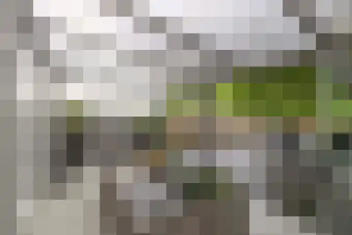 Baai 64 Lelystad thumbnail 4