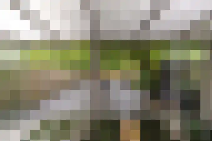 Baai 64 Lelystad thumbnail 40