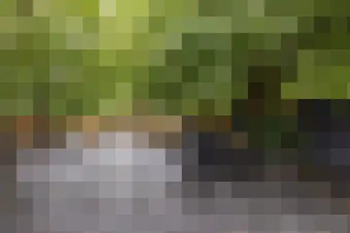 Baai 64 Lelystad thumbnail 41