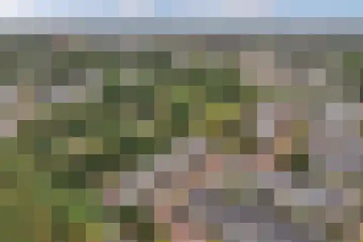Baai 64 Lelystad thumbnail 5